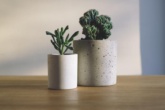 Potted pair